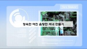 Read more about the article 정숙한 여친 음탕한 x녀 만들기 – 에로배우 소정