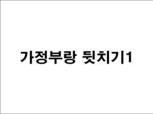 Read more about the article 가정부랑 뒷치기 외 – 에로배우 예지