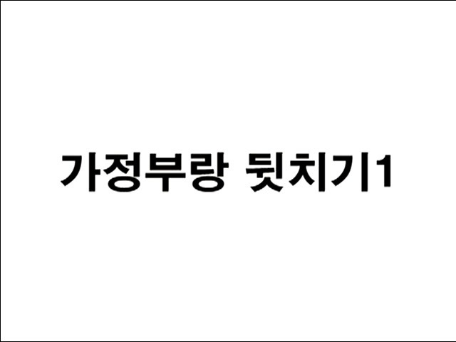 Read more about the article 가정부랑 뒷치기 외 – 에로배우 예지