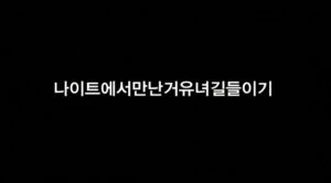 Read more about the article 나이트에서 만난 거유녀 길들이기 – 에로배우 겨울