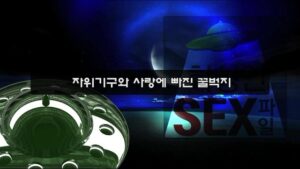 Read more about the article 자x기구와 사랑에 빠진 꿀벅지 – 에로배우 세리