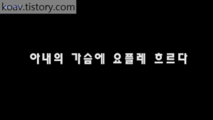 Read more about the article 아내의 가슴에 요플레 흐르다 – 에로배우 희선