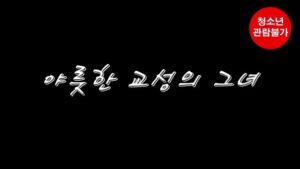 Read more about the article 야릇한 교성의 그녀 – 에로배우 효린