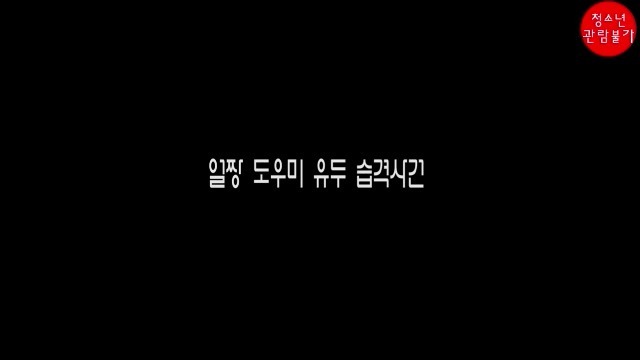 You are currently viewing 얼짱도우미 유두습격사건 – 에로배우 세리